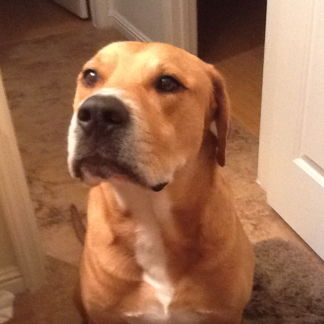 RichGallen's profile picture. Father,Husband,Son,Brother