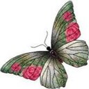 نورة عبدالله النعيم (@0504883641) Twitter