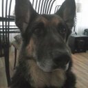 Susan Barrow - @susan20330667 - Twitter