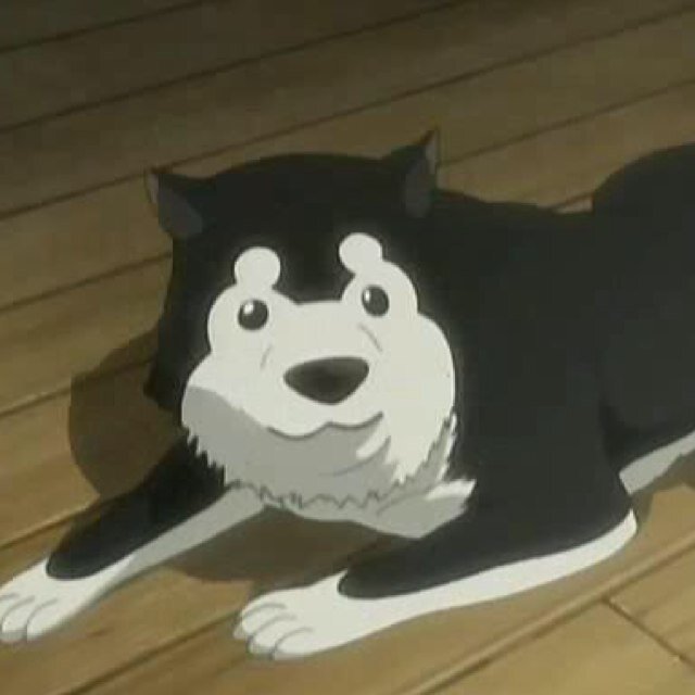 I'm Black Hayate, a real life dog of the military! I'm a 2nd Lieutenant and my mistress is Riza Hawkeye!