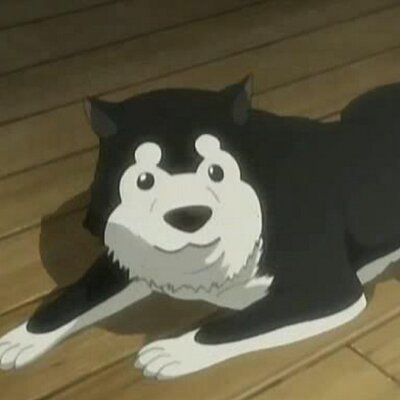 Today's anime dog of the year is: #5: Black Hayate