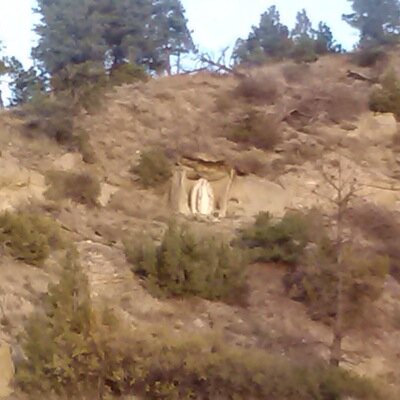 sendmed's profile picture. 