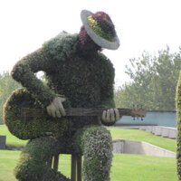 ProgRockDan1 (@progrockdan1) 's Twitter Profile