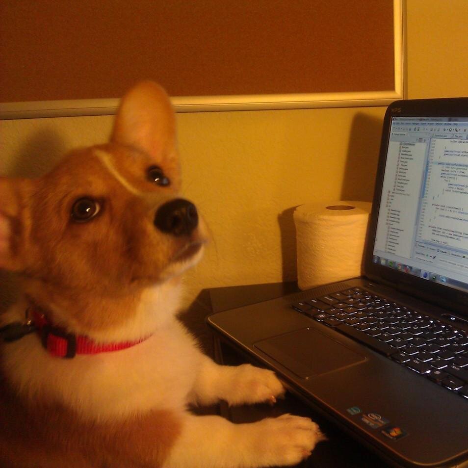 @codecompiles