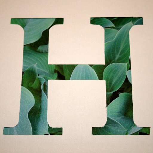 Horta_culture's profile picture. All Things Horticulture. Botanical Art & Illustration. Garden Design & Maintenance. Christmas Wreaths & Arrangements.   Olwyn 086-1683851 or Tony 087-2381013