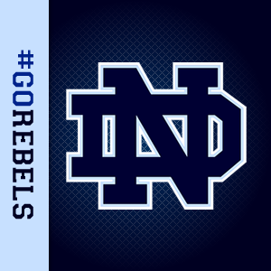 The official Twitter home of Notre Dame Rebel Athletics!