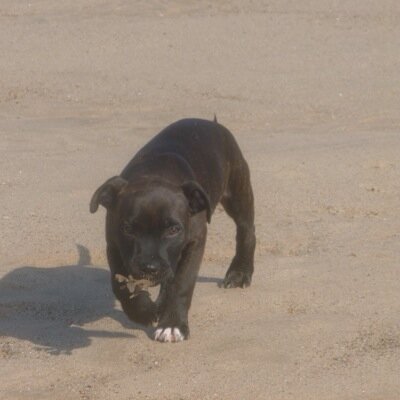 chambers_lynne's profile picture. 