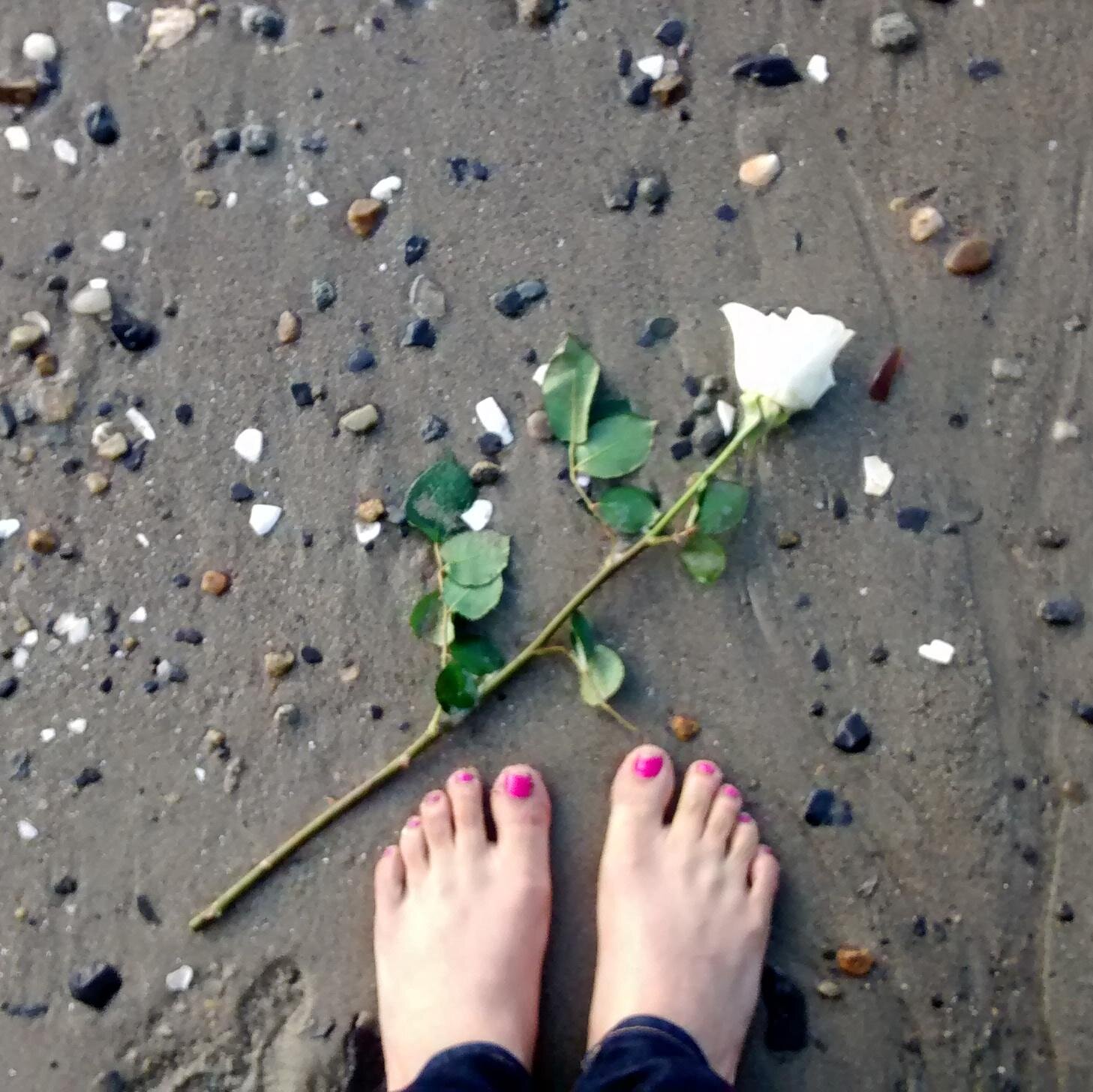 lilly_n_lilly's profile picture. Makeup enthusiast & polymer scientist who loves blogging about science and beauty products. #bblogger