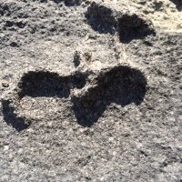 ture (@appare_c) 's Twitter Profile