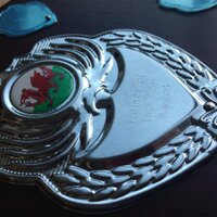 Welsh Ortho Trainees (@wotees) 's Twitter Profile