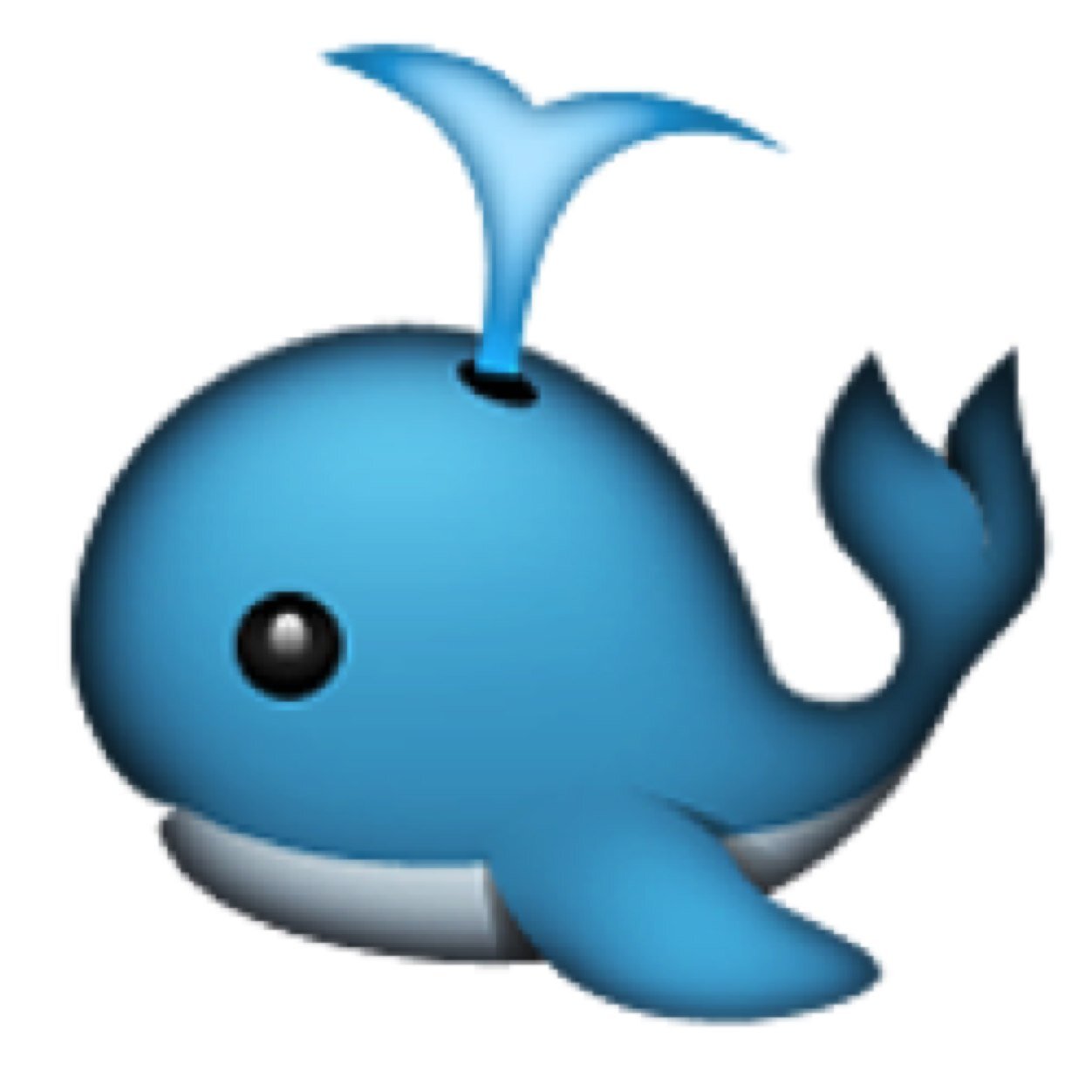 Spreading some love and good vibes ✌️ Whale kisses to you my friends