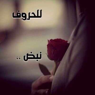 أبجدية اللغة...نزلت گ نجوم من السماء...ومن القمر حُفنة من ضياء...أُهديها لكم في حروف تنبض بِكُم.... #للحروف_نبض