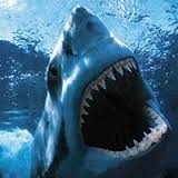 FlipsideNorth's profile picture. Credit Markets and stuff