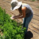 Kristi Anne Curtis - @Flowerfarmgirl - Twitter