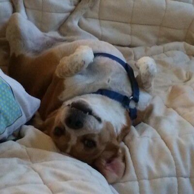 laura_yount's profile picture. 