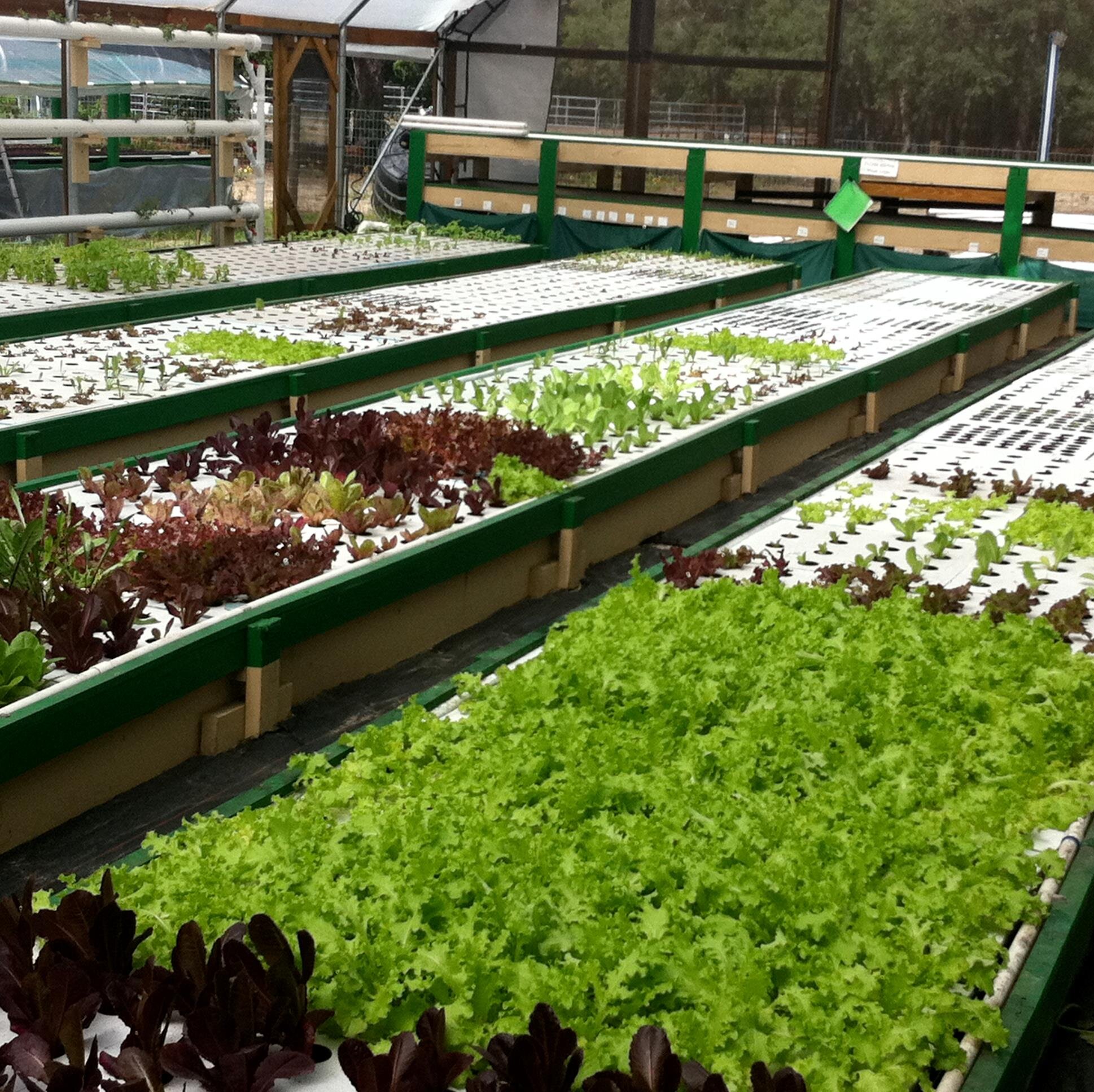 KEEPING U INFORMED: Business Owner, RE, Entrepreneur, Aquaponics, Survivalist, General Contractor Designer of Container Homes,  Cabins and Aquaponics Systems