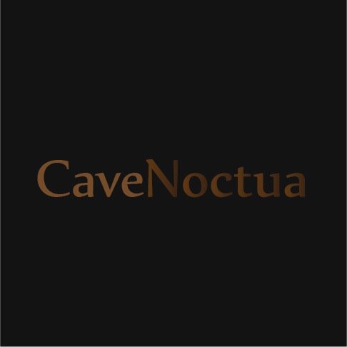 Cave Noctua é um hub para criatividade expressa em forma de conteúdo original e autoral