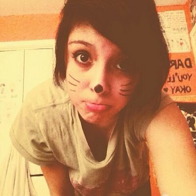 The only animal i have become is a turtle . 

My tweets are lame so read them !
