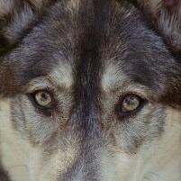 DaisyAlderBrook's profile picture. 