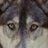 DaisyAlderBrook's avatar