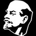 Tim van Rijt (@quasi_intellect) Twitter profile photo