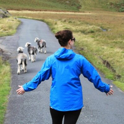 gozocat's profile picture. 