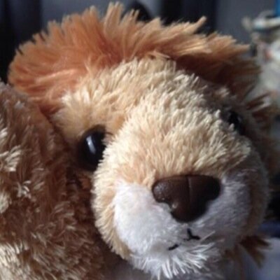 I am Daniel Plush Clifford