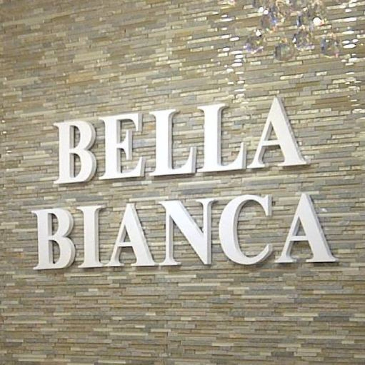 Bella Bianca Bridal Couture, with locations in Chicago and Oakbrook, IL, provides top of the line service while showcasing the very latest in bridal fashion.