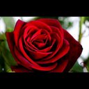 Sally (@0559441) Twitter
