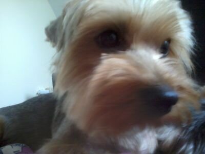 Povos7's profile picture. 