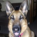 Ruthann Wagner - @rwagner77 - Twitter