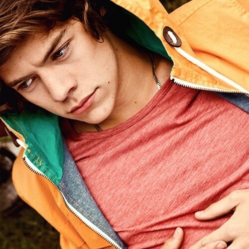 I LoVe Harry Styles 3333