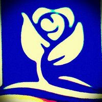 La Rosa Azul Florist (@larosaazulflori) Twitter profile photo