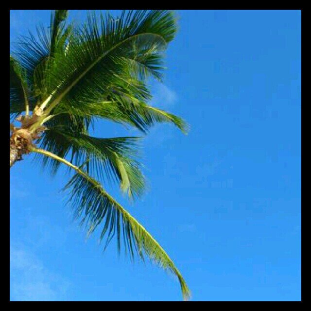 ハワイ大好き🌺🌴🌈 G-DRAGON大好き🐉🌼