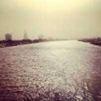 Ashraf T. El_Tinay (@el_tinay) Twitter profile photo