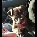 isaauch1's profile picture. El saber y la razon hablan; la ignorancia y el error gritan