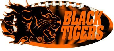 blacktigers2014's profile picture. 