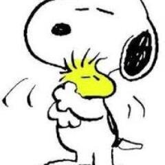 brendasreality's profile picture. 