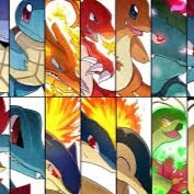 Entrenador Pokemon. 
Numero de Amigo: 0387-9098-9876