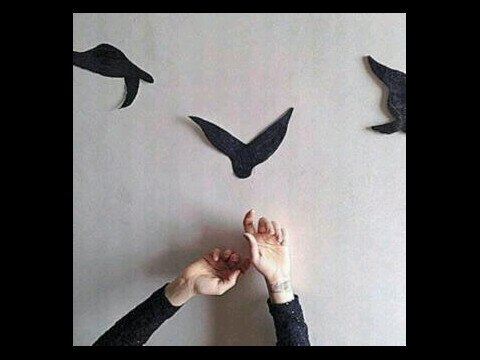 klnyfdak's profile picture. 