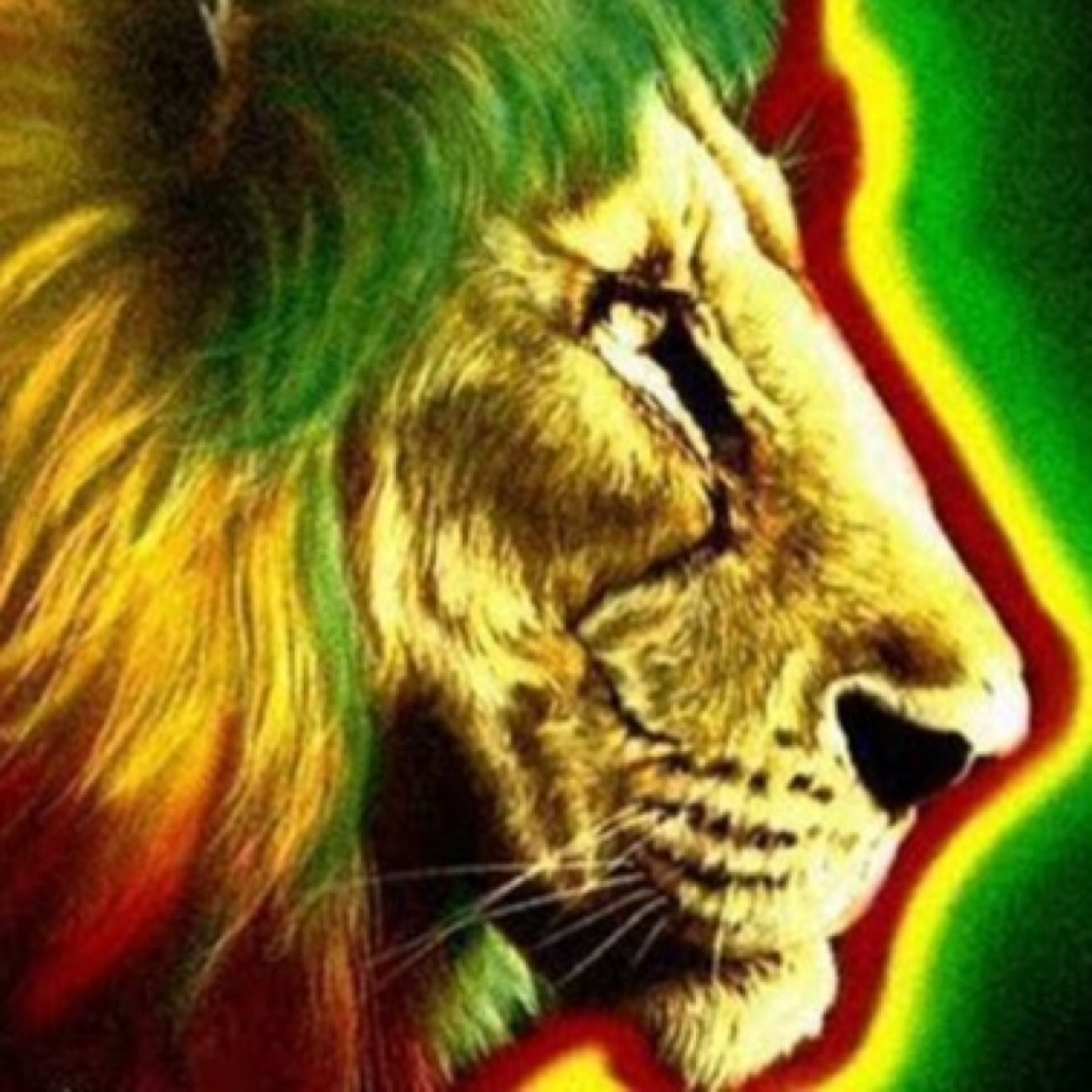 johndonhulio's profile picture. 