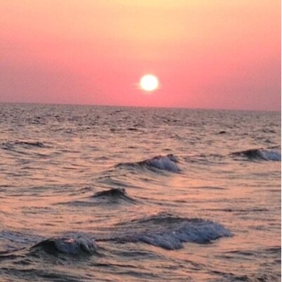 VickiVblt14's profile picture. 