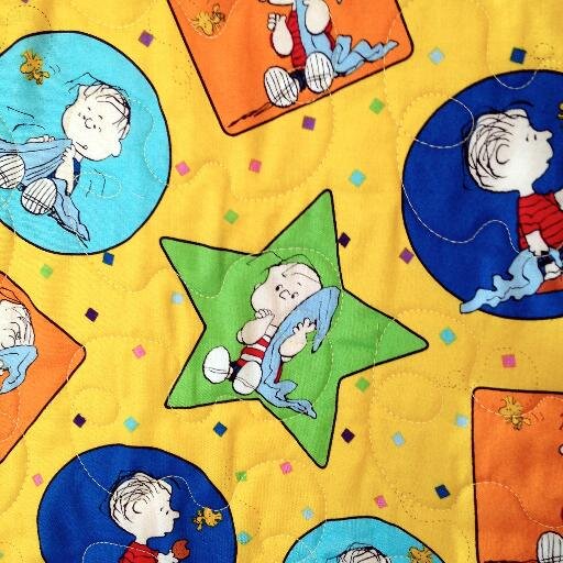 North and Central Chicagoland Chapter of Project Linus
