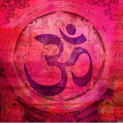 nikidani's profile picture. 