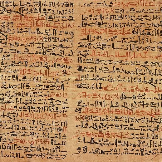 thecastlefolio's profile picture. 