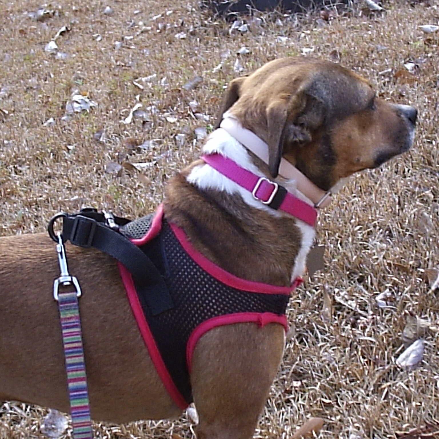 Fakefakefred's profile picture. fake and amateur