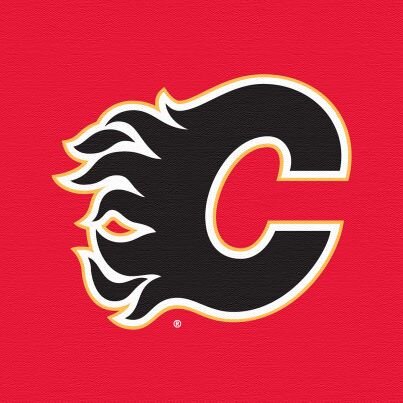 That Guy Who Sucks or is sometimes good at NHL 14
