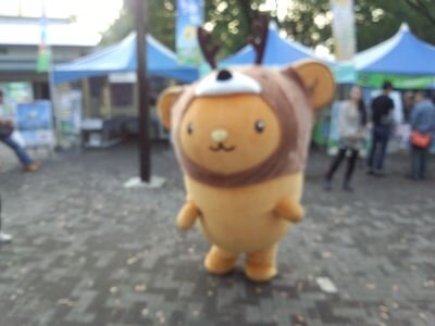 千葉在住、小さい頃田舎の、線路のちかくにすんでて、そんなロケーションのところにたまたますんでます。