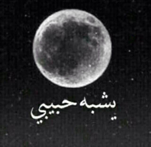 mnosssh502's profile picture. و بٌكل وريدٍ ينّبُض فِي جَسدْي , اُحِبُكِ