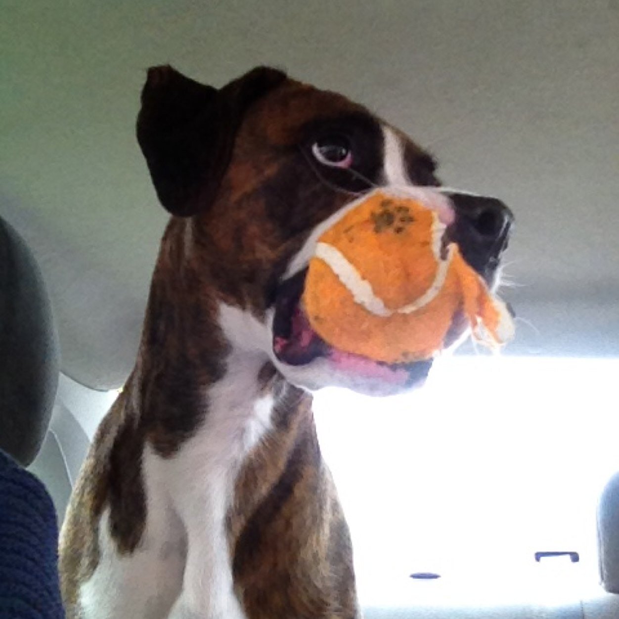 MammaRac's profile picture. 